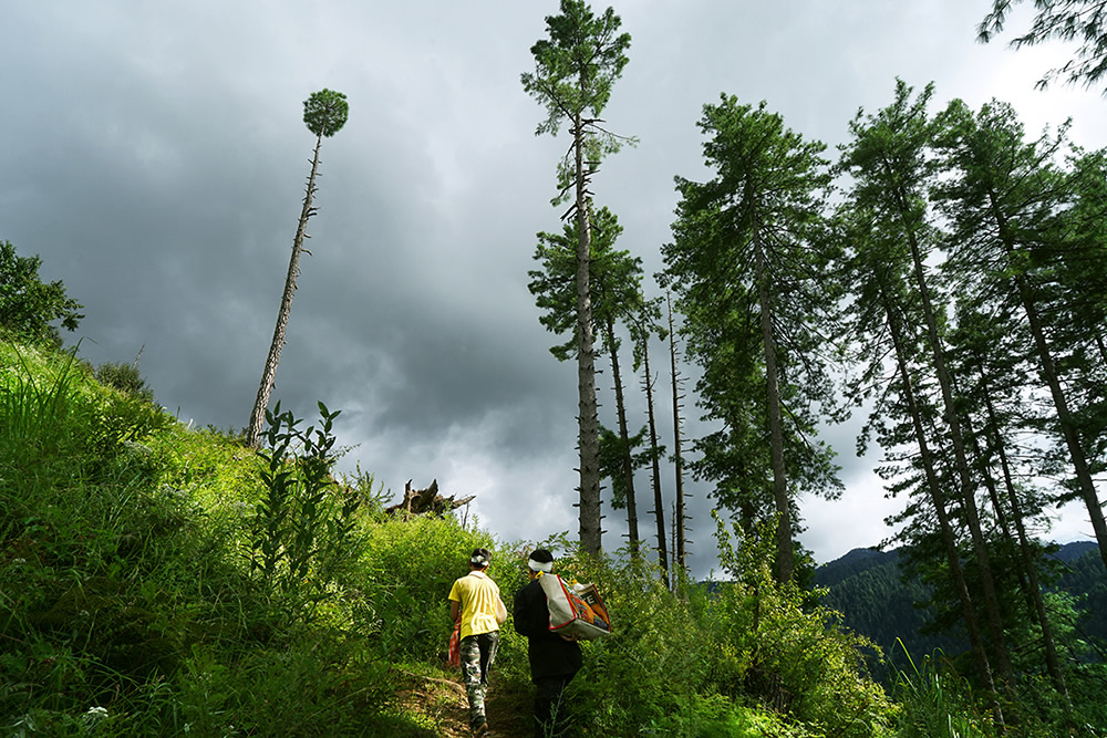 Towards A Safer Place: Photo Series By Sanjay Tillani