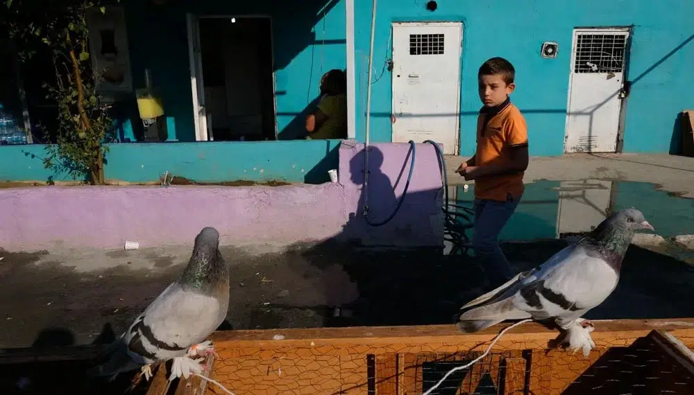 Boy walking past pigeons outside a vibrant turquoise building