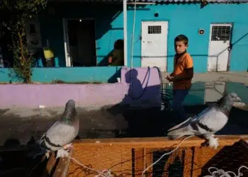Boy walking past pigeons outside a vibrant turquoise building