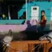 Boy walking past pigeons outside a vibrant turquoise building