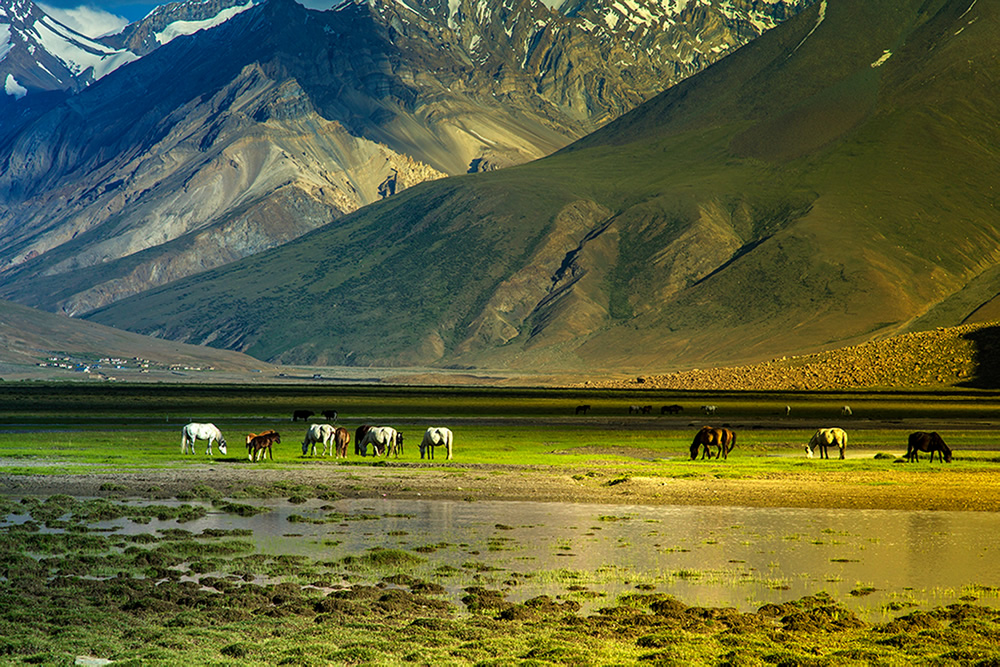 Indian Nature Photographer Kalpana Chatterjee In Conversation With Raj Sarkar