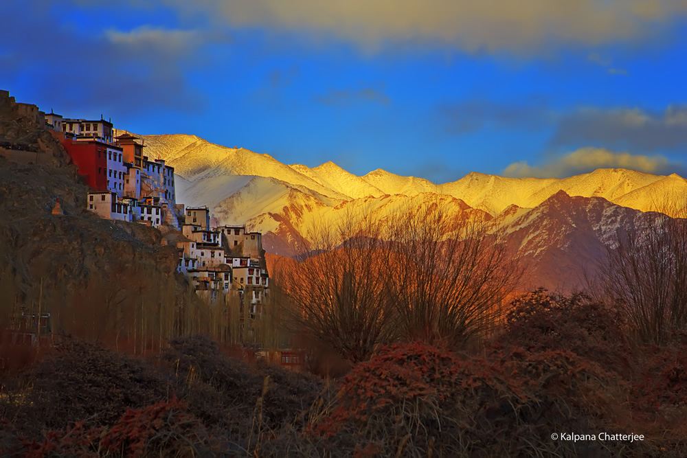 Indian Nature Photographer Kalpana Chatterjee In Conversation With Raj Sarkar