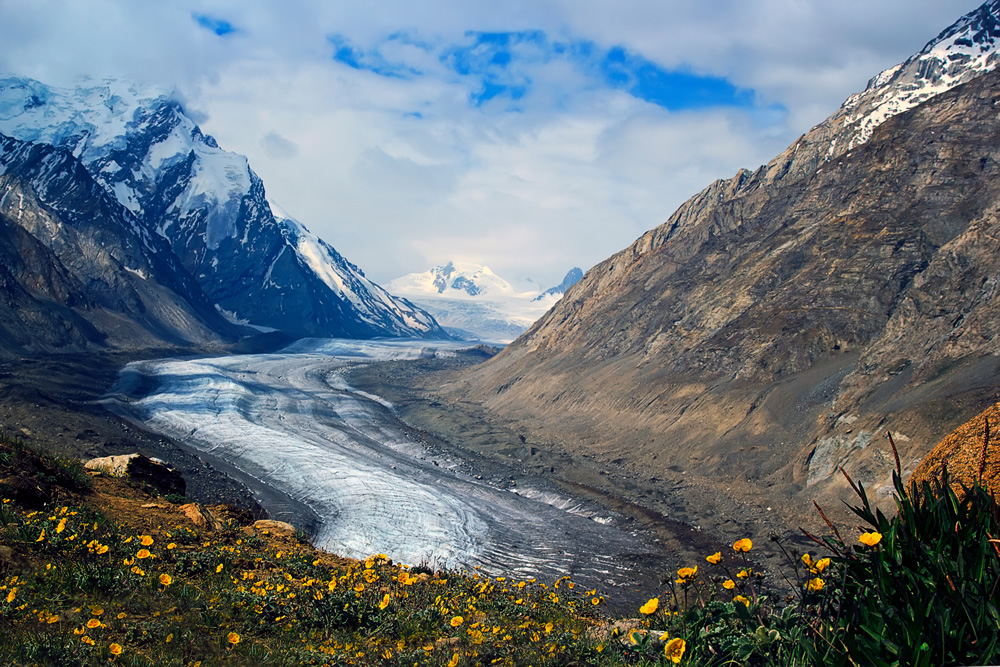 Indian Nature Photographer Kalpana Chatterjee In Conversation With Raj Sarkar