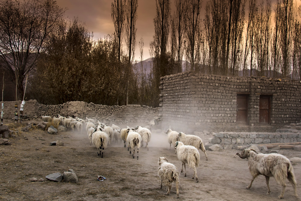 Indian Nature Photographer Kalpana Chatterjee In Conversation With Raj Sarkar