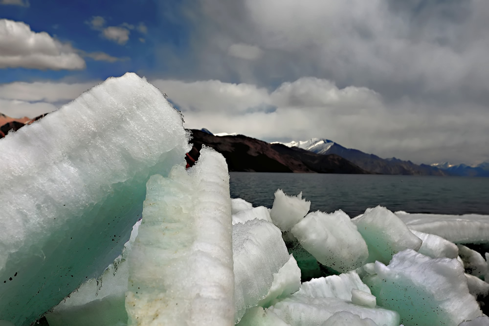 Indian Nature Photographer Kalpana Chatterjee In Conversation With Raj Sarkar