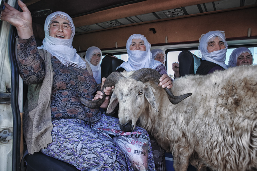 My Personal Best: Turkish Photographer Nadir Bucan