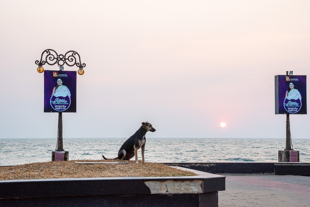 Break the Chain - Life at Kozhikode Beach in the Time of Corona