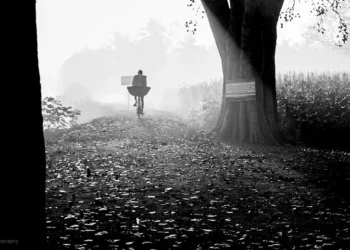 Cyclist rides misty rural path beside large tree