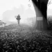 Cyclist rides misty rural path beside large tree