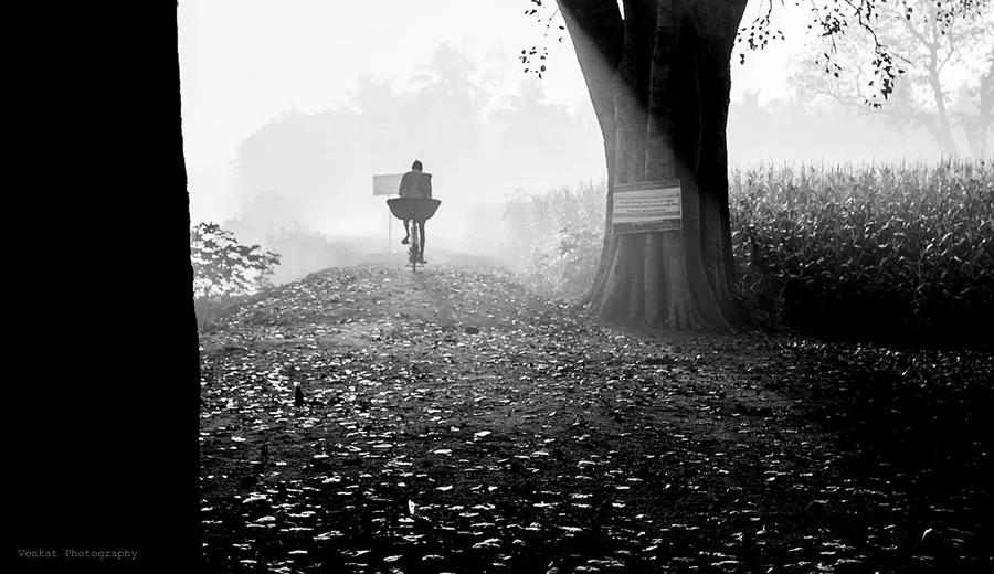 An Overview about Simplicity and Minimalism in Photography 17 Cyclist rides misty rural path beside large tree