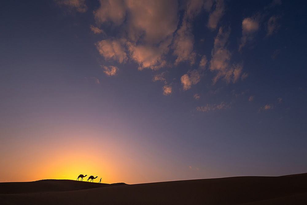 During Sunset in Khuri Desert, Rajasthan
