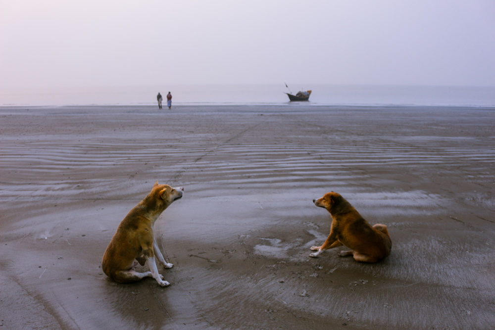 My Personal Best: Bangladeshi Photographer Gourab Saha