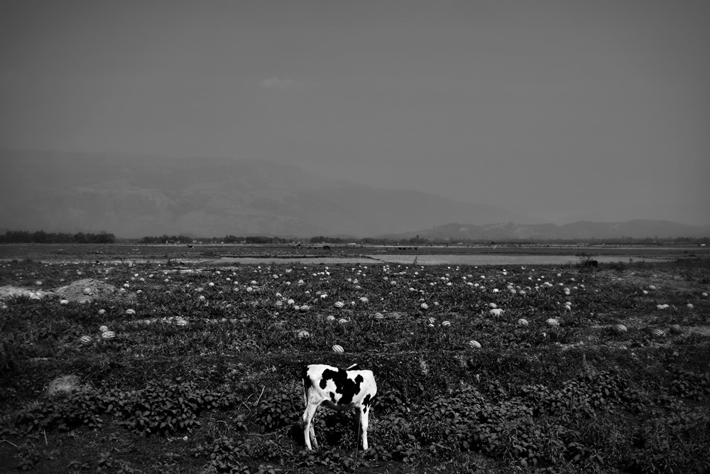 My Personal Best: Bangladeshi Photographer Gourab Saha