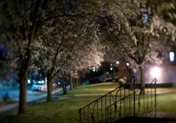 In Between Days: My Neighborhood During the COVID Lockdown by Htet T San