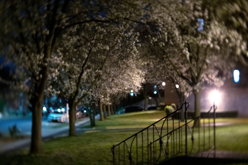 In Between Days: My Neighborhood During the COVID Lockdown by Htet T San