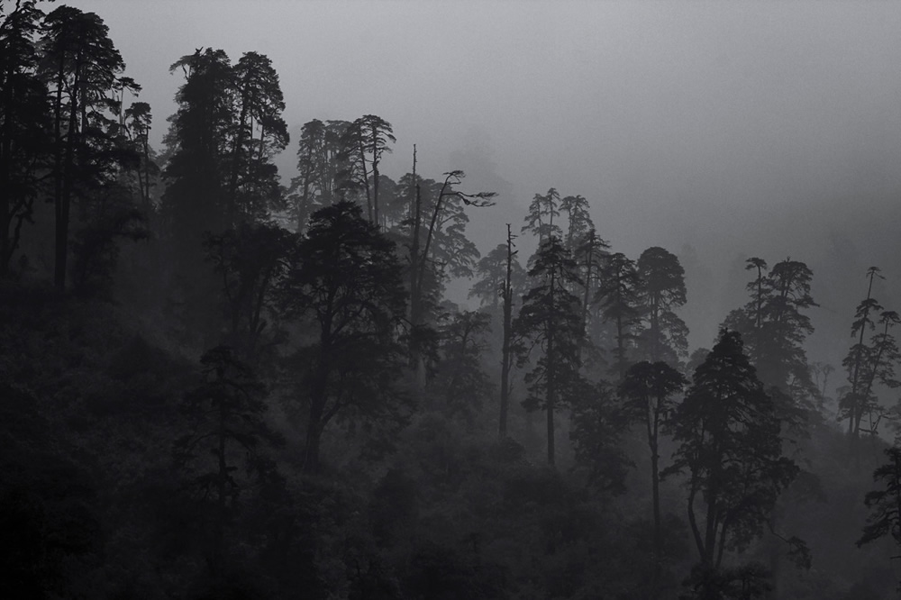 On the way to Lachung  - A Journey Through Himalayas