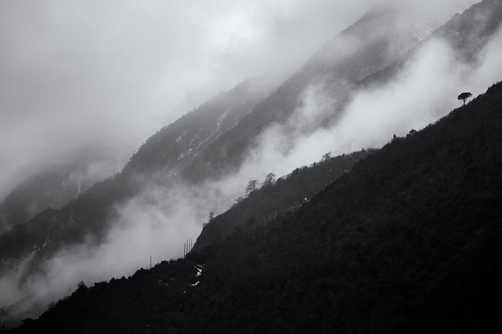 Chongtong Valley - A Journey Through Himalayas