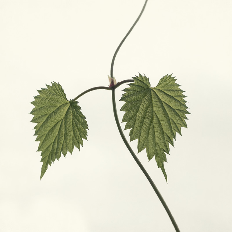 My Personal Best: Nature Photographer Lotte Grønkjær-Funch