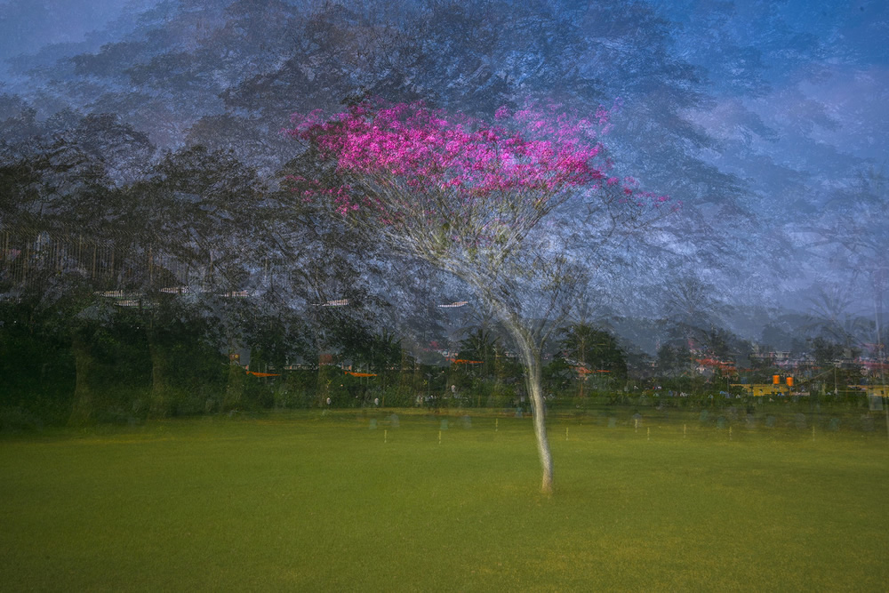 Sandwich: Multiple Exposure Photographs by Ashok Saravanan