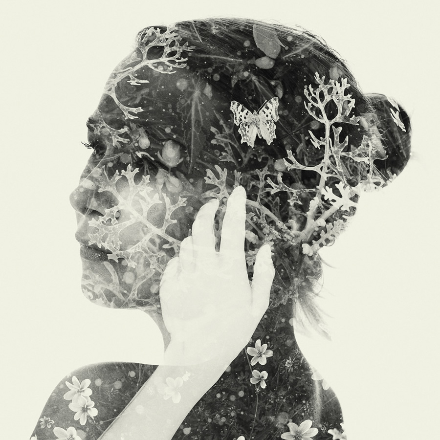 relander christoffer behance campfire