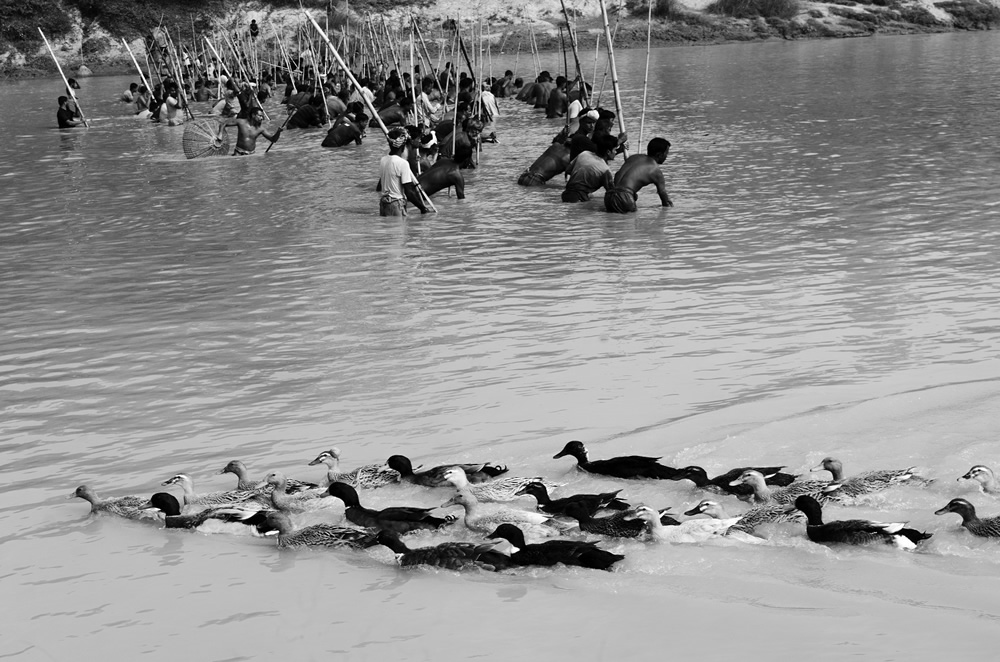 Polo Bawa: Traditional Fishing Festival in Bangladesh by Ayman Nakib