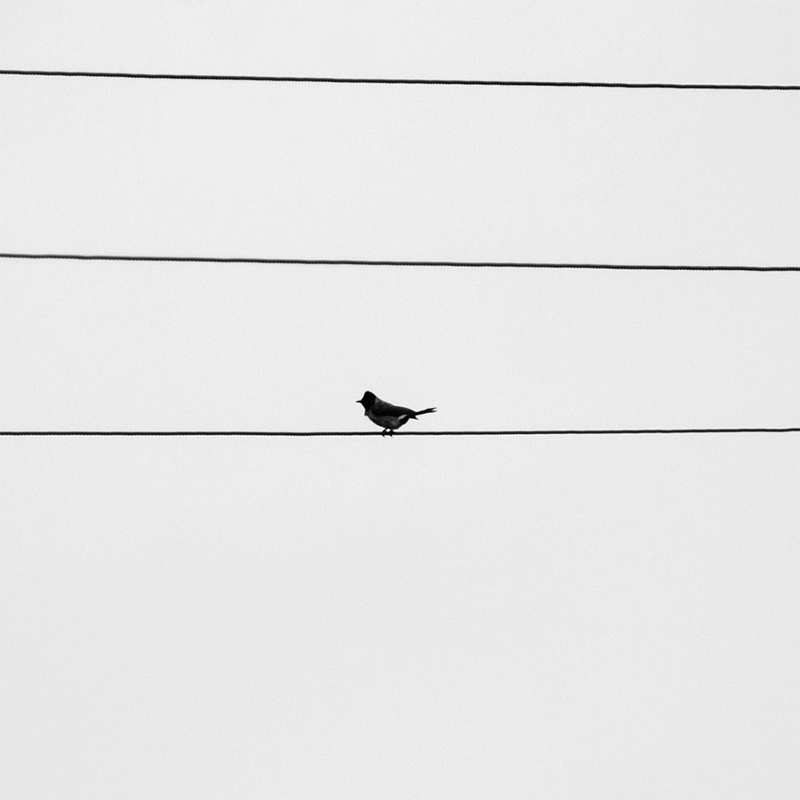 An Overview about Simplicity and Minimalism in Photography