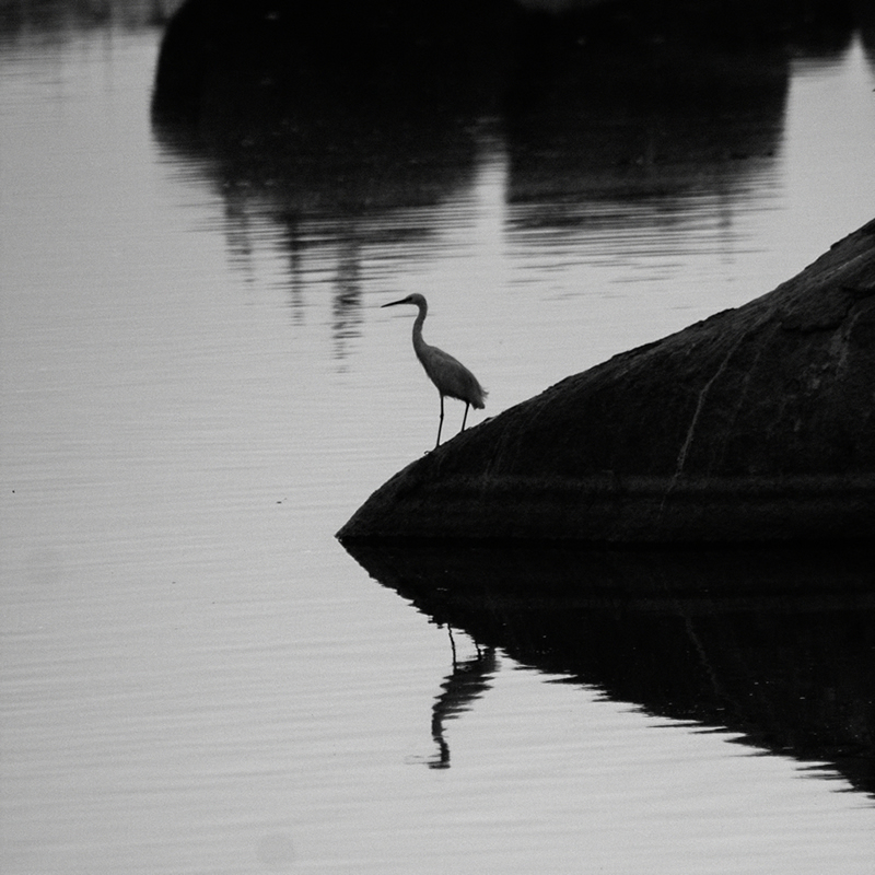 An Overview about Simplicity and Minimalism in Photography