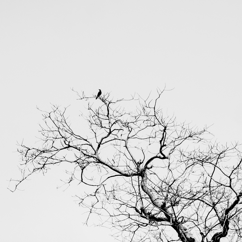 An Overview about Simplicity and Minimalism in Photography