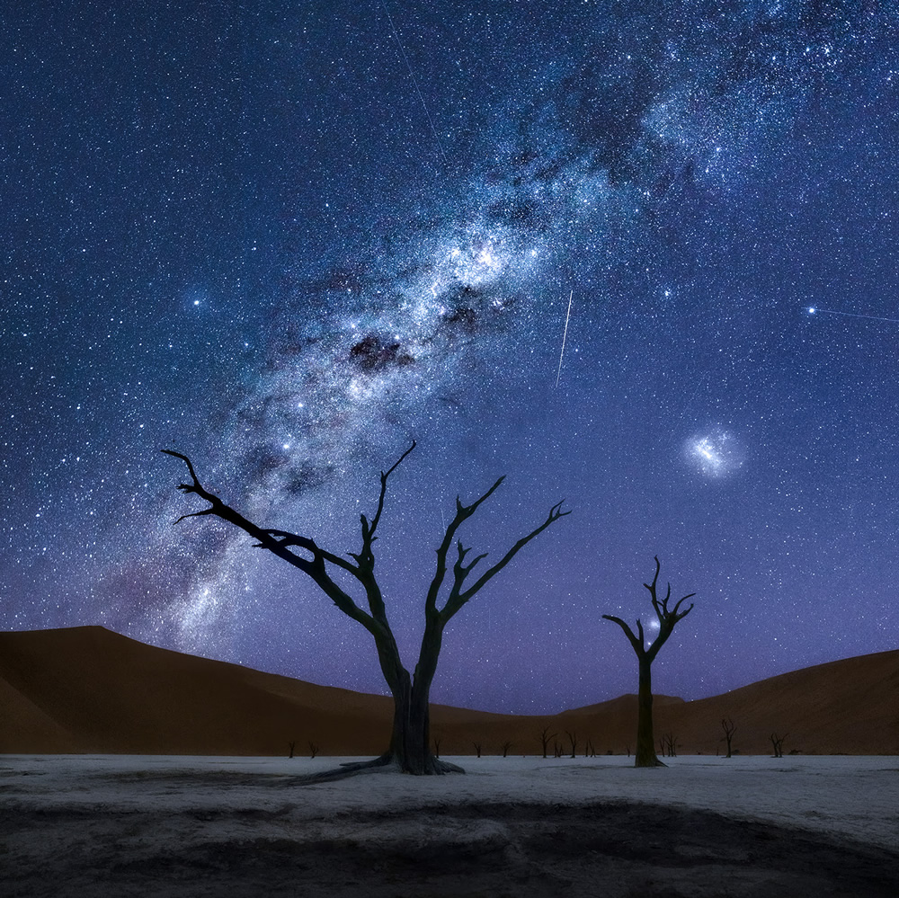 Trees of Namibia: Beautiful Photographs by Isabella Tabacchi