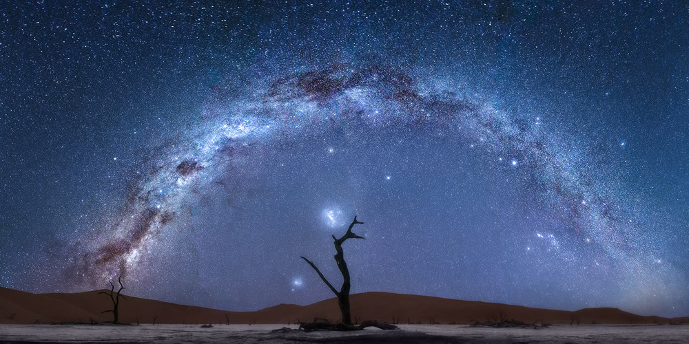 Trees of Namibia: Beautiful Photographs by Isabella Tabacchi