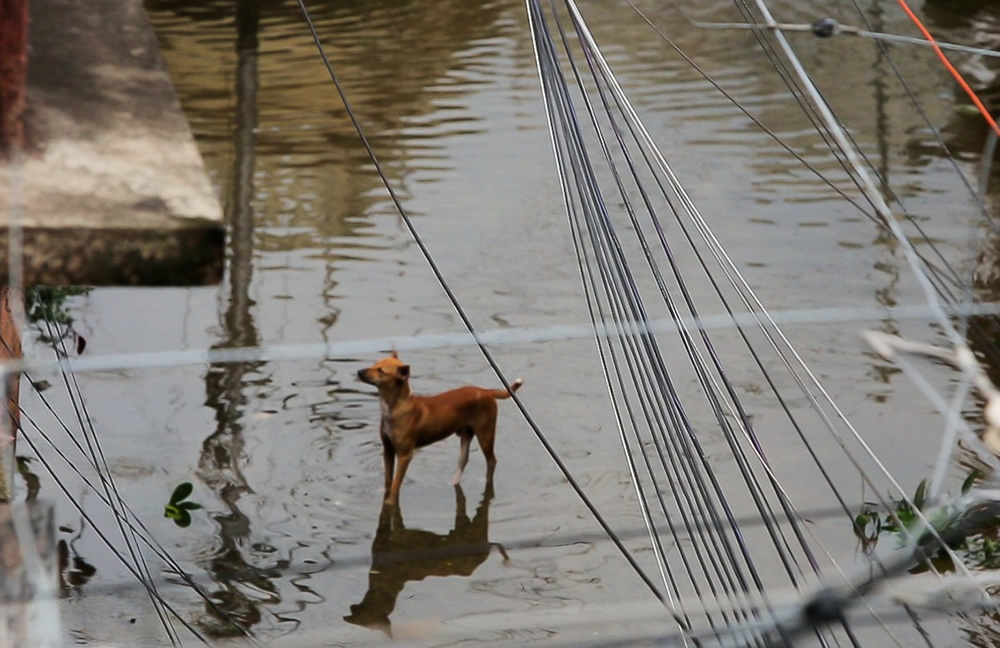 Shadows Remain Dark: Cyclone Amphan By Bilwanath Chatterjee