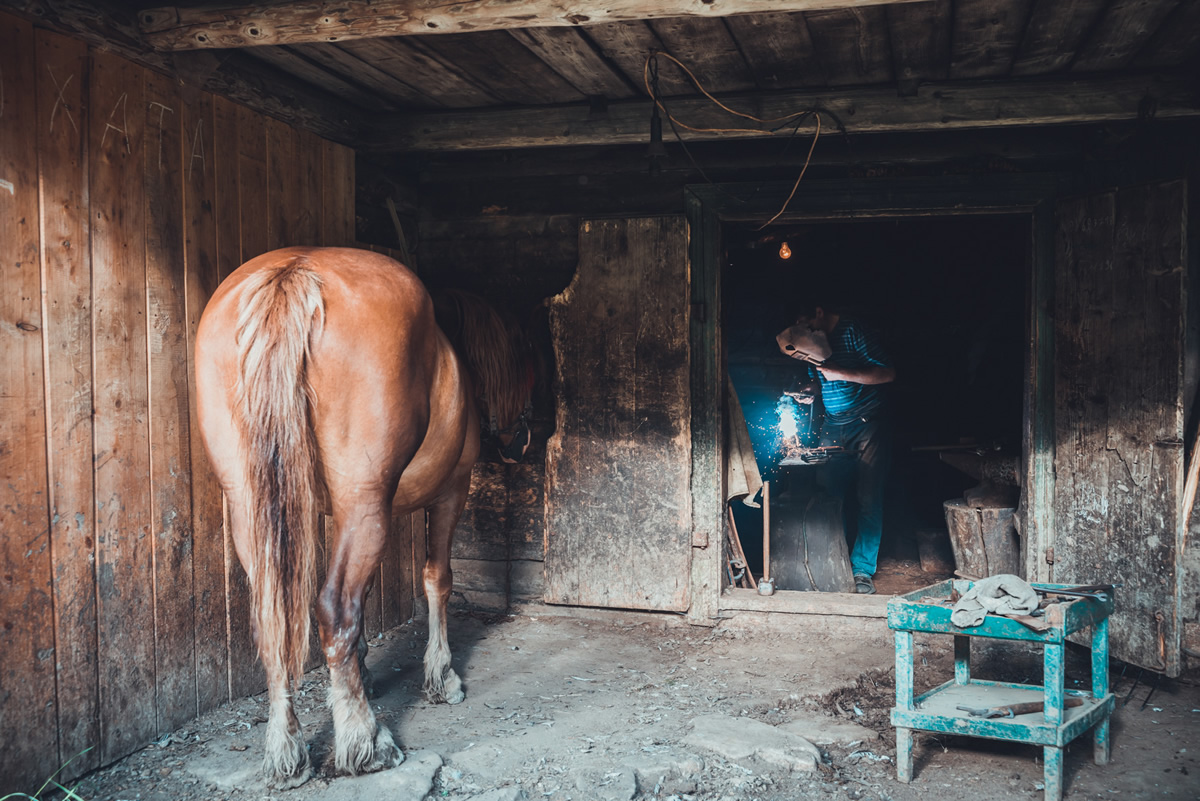 Travel Experience: 7 Days Road Trip to Beautiful Ukraine By Stijn Hoekstra