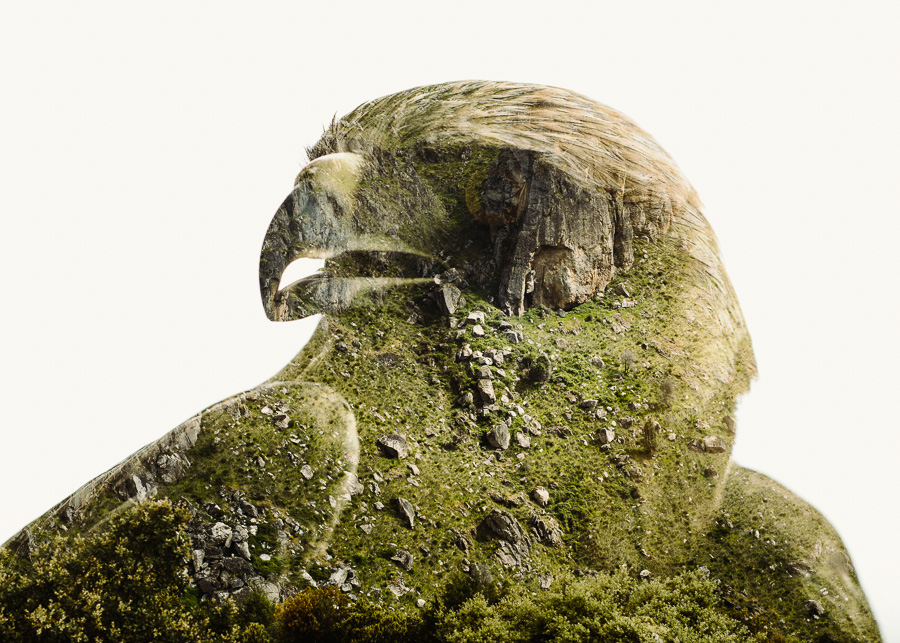 Continuum Plateau: Life As Heritage In The Miranda Plateau By Christoffer Relander