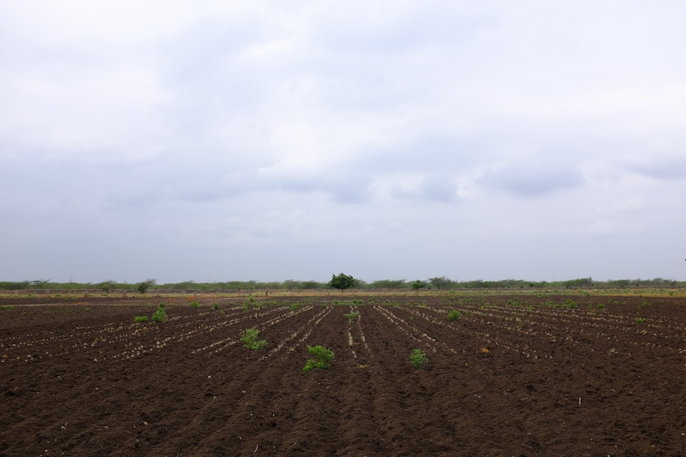 Karisakadu: A Remote Village In TamilNadu By Pranav