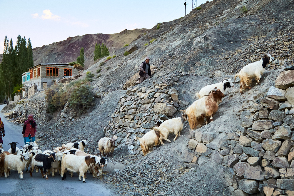 Ladakh: An Overview By Travel Photographer Bhagi Siva 