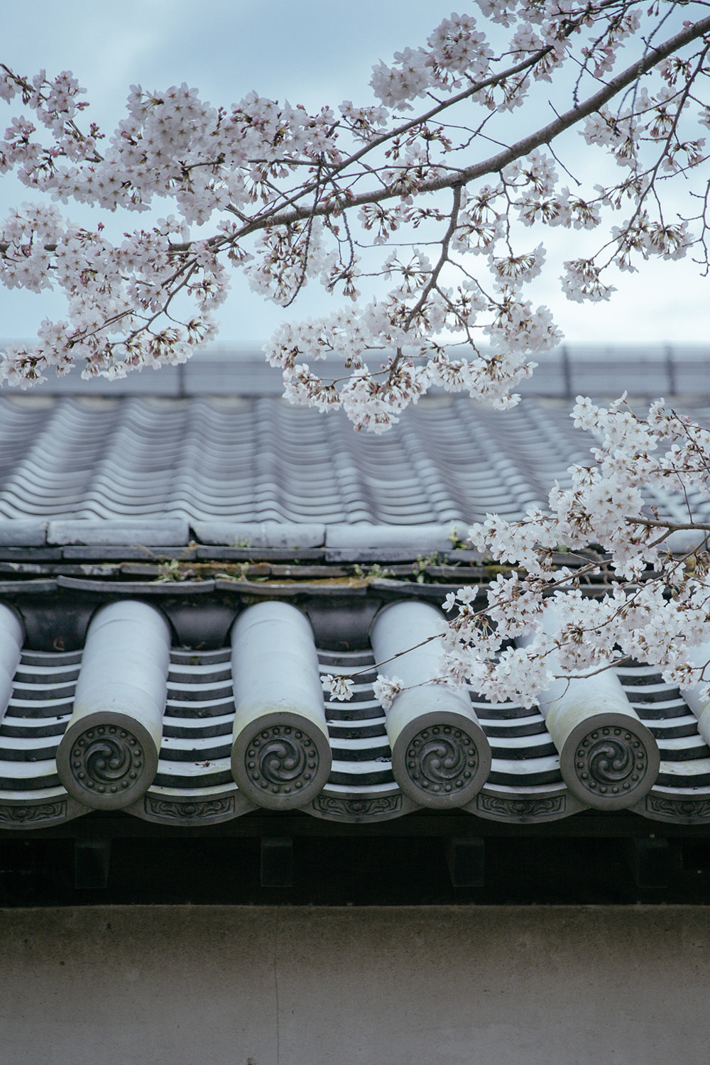 Memories Of Japan: Travel Photographs By Ying Yin