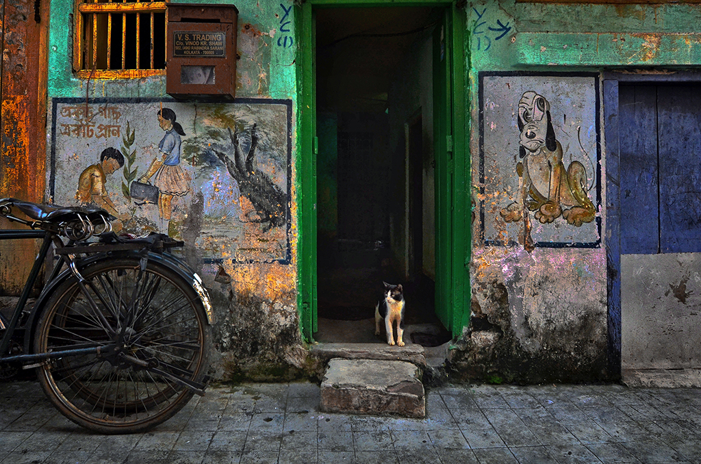 Street Wall Art From Kolkata: Photo Series By Shibasish Saha