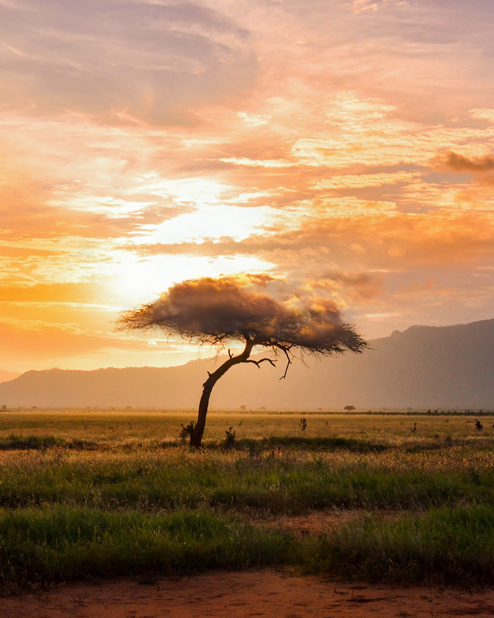 Dreamy Surreal  Landscape  Photography  By Justin Peters