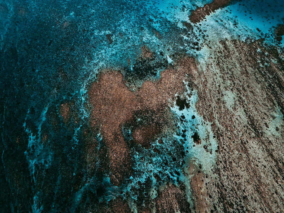 The Coral Reef: Great Barrier Reef In Australia Captured by Tom Hegen