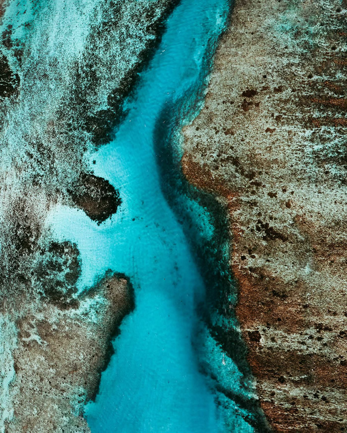 The Coral Reef: Great Barrier Reef In Australia Captured by Tom Hegen