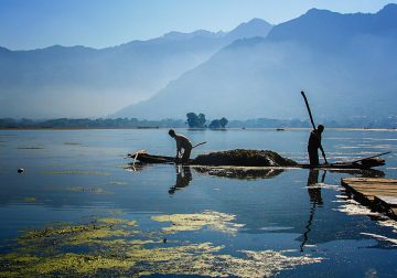 The River Through My Backyard by Pinki Sanyal