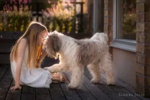 You’ve Got A Friend by Sandra Jolly