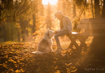 You’ve Got A Friend by Sandra Jolly