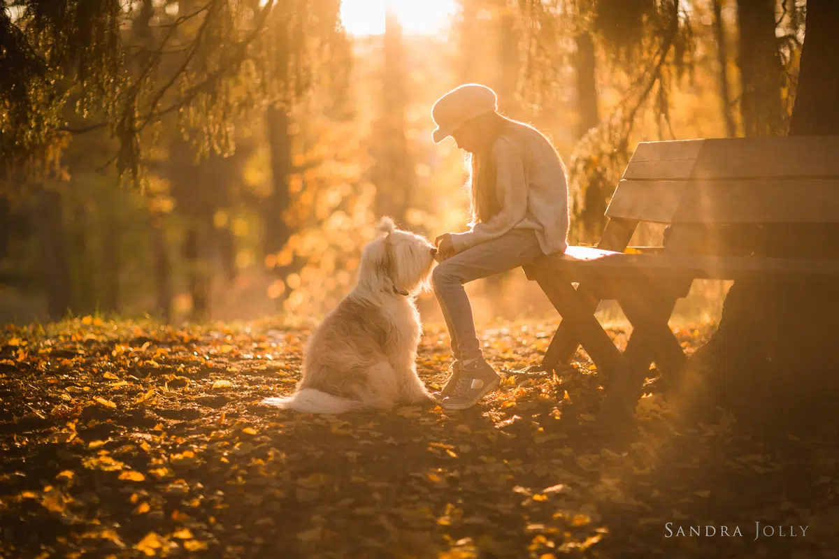 You’ve Got A Friend by Sandra Jolly