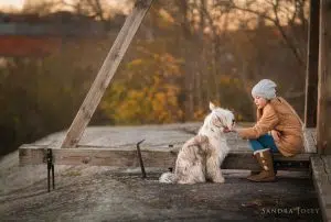 You’ve Got A Friend by Sandra Jolly