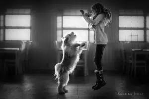 You’ve Got A Friend by Sandra Jolly