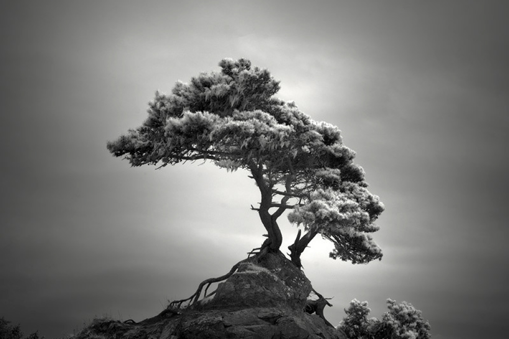 Infrared Silence: Stunning Fine Art Landscapes By Nathan Wirth