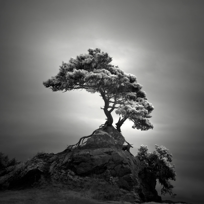 Infrared Silence: Stunning Fine Art Landscapes By Nathan Wirth