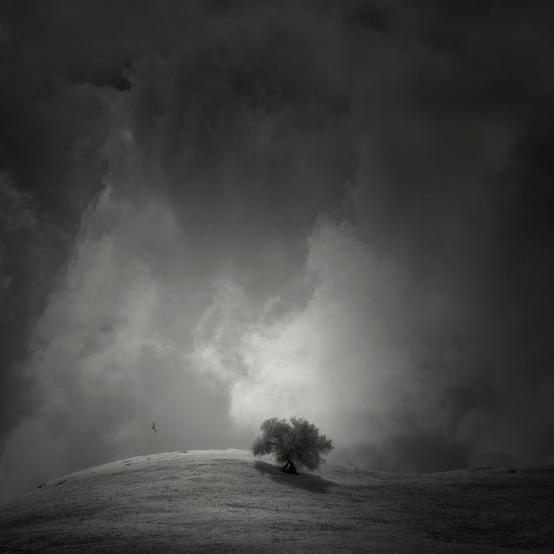 Infrared Silence: Stunning Fine Art Landscapes By Nathan Wirth