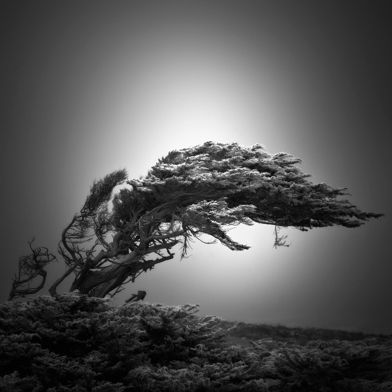 Infrared Silence: Stunning Fine Art Landscapes By Nathan Wirth